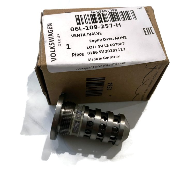 06L109257H Camshaft phasing valve screw 2.0 TSI TFSI VW AUDI SEAT SKODA