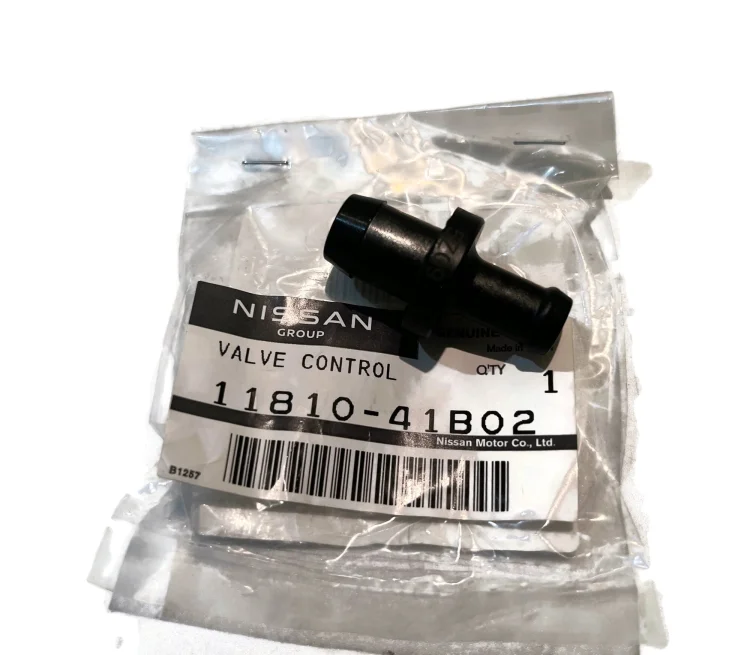 NISSAN | 11810 41b02