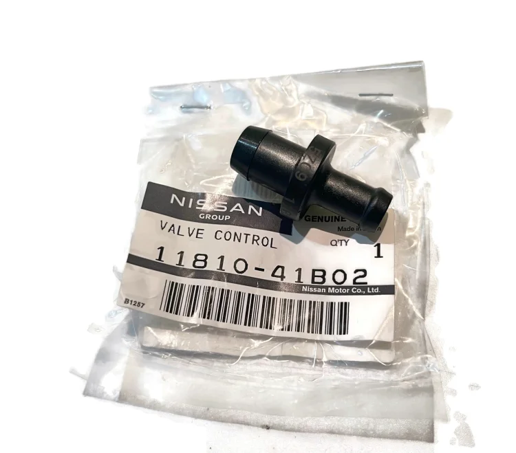 NISSAN | 11810-41b02