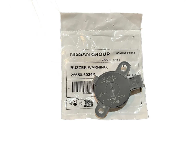 25650-6024R Renault