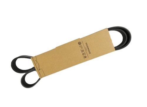 03G903137E V-Ribbed Belt