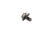 N91166901 fender bolt Audi