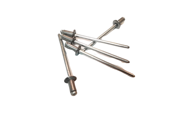 N0161857 audi fender pop revet