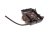 6R0915331C podpora uchwyt mocowanie akumulatora VW AUDI SEAT SKODA