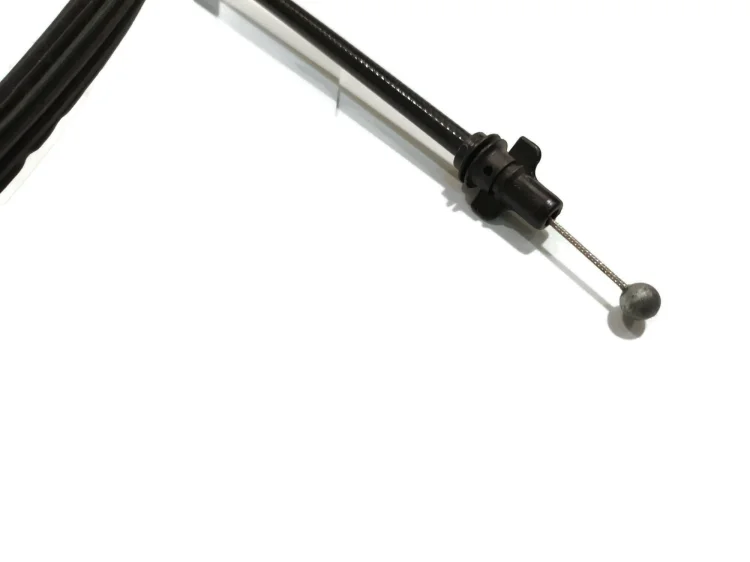 8T1823535_.jpg
